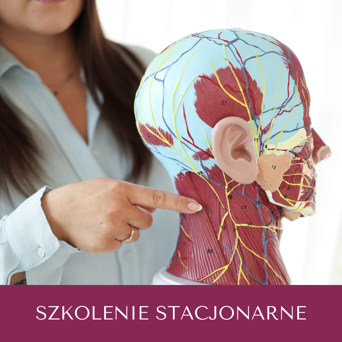 Podstawy anatomii z uwzględnieniem ultrasonografii w kosmetologii estetycznej